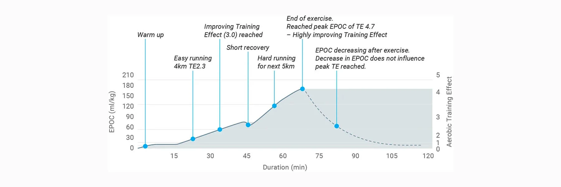 EPOC: Understanding Garmin's Key Recovery and Training Load Metric